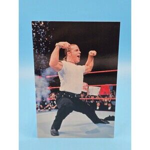 WWF SHAWN MICHAELS HBK WRESTLEMANIA LIVE 4X6 WRESTLING PHOTOCARD #51